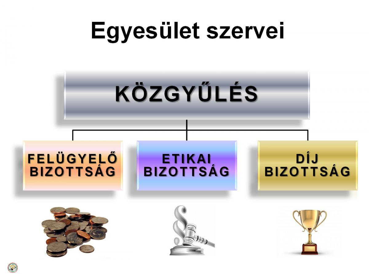 Szervezeti felépítés